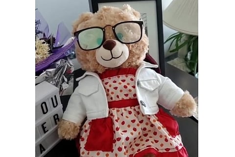 Ryan Reynolds offers monetary reward to help find lost teddy