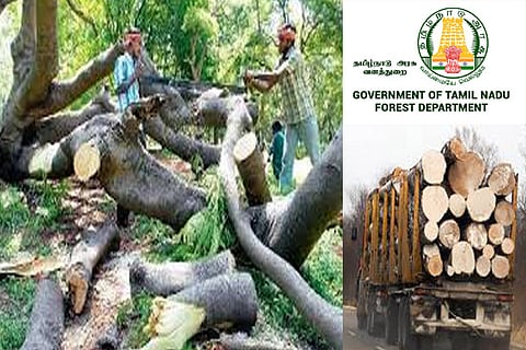 Mafia exploits virus scare, plunders high value timber in Tamil Nadu