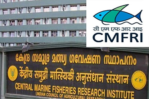 Rare scorpionfish found off Sethukarai in Gulf of Mannar