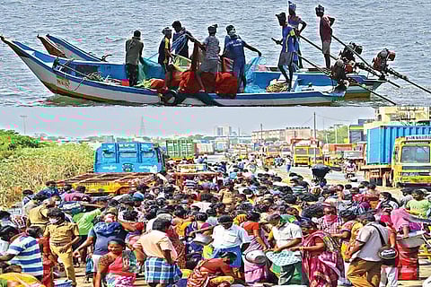 Crowd at temporary fish stalls at Kasimedu on Sunday