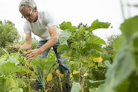 Image courtesy: Microsoft.com