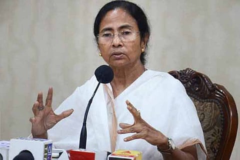 Bengal to plant 5cr mangrove trees in Sundarbans: CM