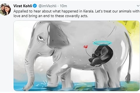 Let's treat animals with love, bring an end to cowardly acts: Kohli