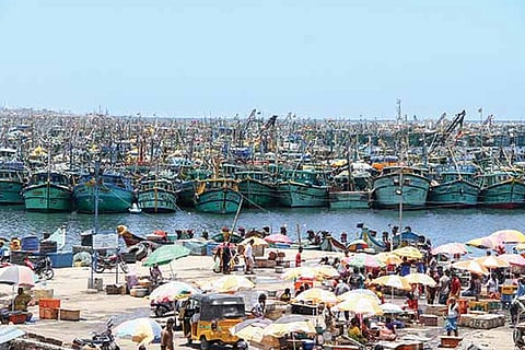 Entry passes planned to cut crowd in Kasimedu harbour