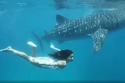 When Katrina Kaif went swimming with her 'most incredible friend'