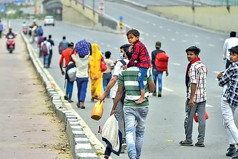 Govt portal to help Tamil returnees find jobs in pvt firms