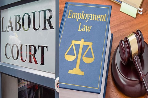 Labour court asks private firm to reinstate driver