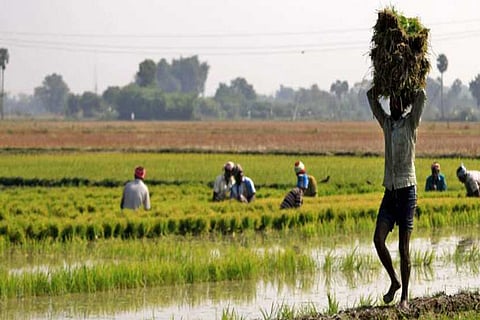 Plea to declare moratorium on farm loans