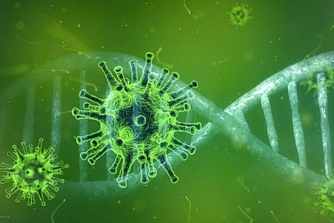 Coronavirus may spread more easily at home: Lancet study