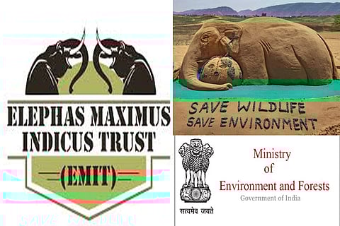 Female jumbos killed to phase out wild elephants gradually, alleges EMIT