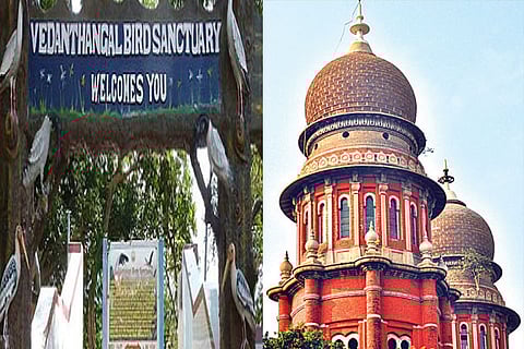 Vedanthangal sanctuary: Madras High Court admits petition but with warning