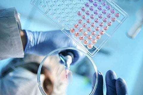 Brazil signs deal to produce experimental virus vaccine