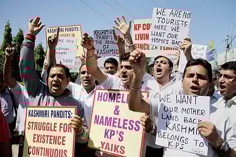 Rehabilitate us before giving domicile certificates to others: Kashmiri Pandits