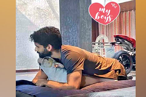 Samantha shares pics of her ‘boys’