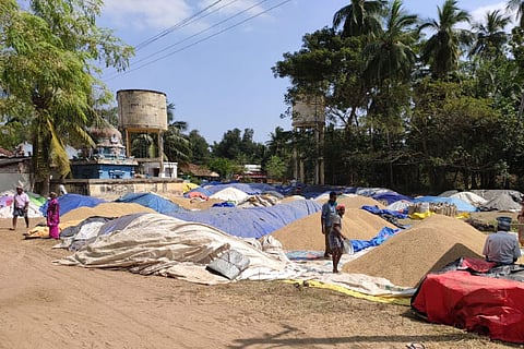 According to sources, at least 2 lakh tonnes of paddy lies accumulated at DPCs in the Delta region now