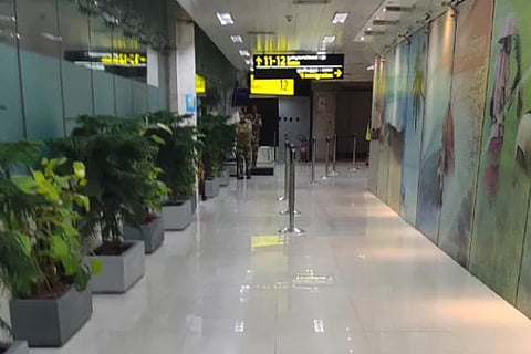 Fresh saplings spotted at the corridor leading towards departure in Chennai Airport