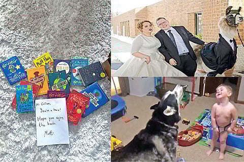 Trending in TN: Bullied bibiliophile honoured by authors, Wedding-crasher Ilama and the howl-off challenge