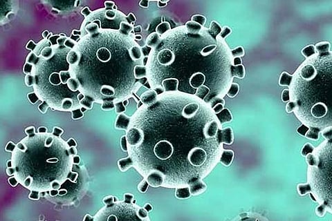 Coronavirus:India in touch with Iran to evacuate its nationals