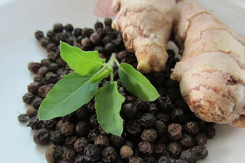 What Ayurveda has to offer in fight against coronavirus