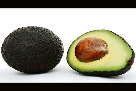 Avacado a day may improve cognitive functions in obese adults