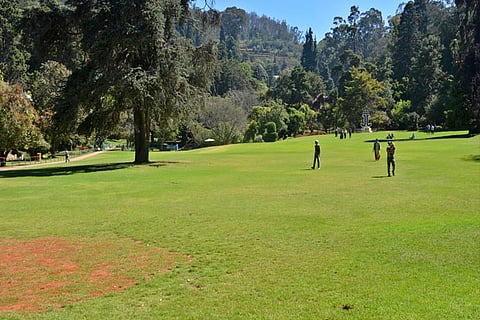 Missing the gym? Hit neighbourhood park, workout at home
