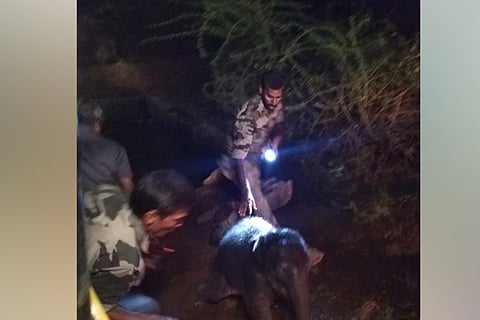 Forest Department staff rescuing the jumbo calf from a water tank in Perianaickenpalayam range