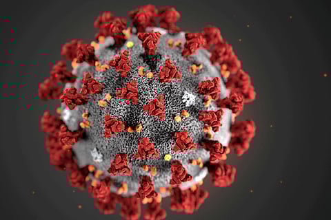 Georgia trying to fight Coronavirus with minimal damage to economy - Prime Minister