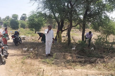 Villagers of Kilkuppam and Udayamuthur found hundreds of birds near their irrigation tanks on Thursday morning