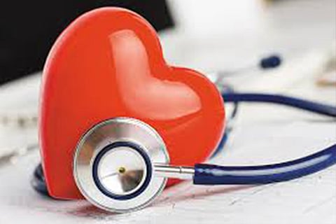 Eat tofu daily and cut your heart disease risk