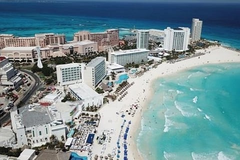 Endangered animals sighted in Mexican Caribbean