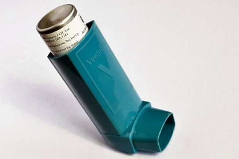 Eat plant-based diet, avoid dairy products to prevent asthma