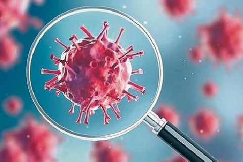 COVID scare: Many fall back on Indian medicine to boost immunity