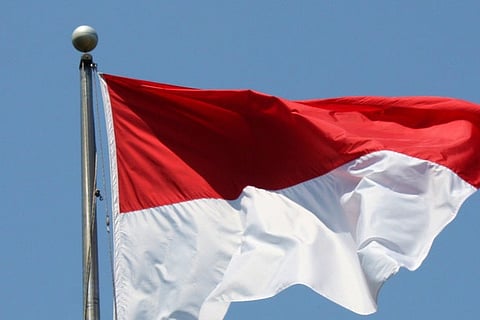 Police arrest eight after violent protests at Indonesia's new nickel hub