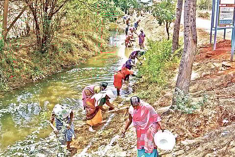 MGNREGS beneficiaries desiliting a canal in Thanjavur