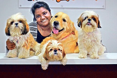 Keep pets busy to reduce boredom during lockdown