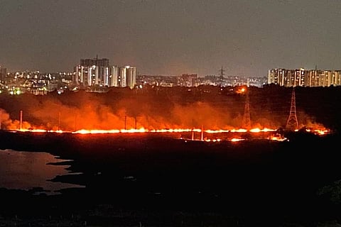 Wildlife concerns rise after second fire in Hyderabad varsity campus