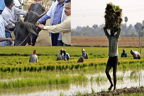 Farmers allege old measures being recycled by Finance Minister as sops