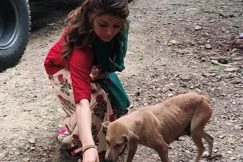 Urvashi Rautela urges people not to neglect stray animals