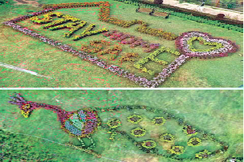 The floral models at Anna Park