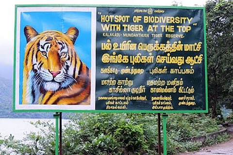 Kalakad Mundanthurai Tiger Reserve