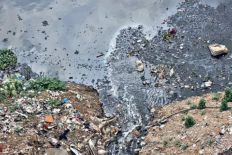 Blame hospitals for Cooum remaining polluted: PWD