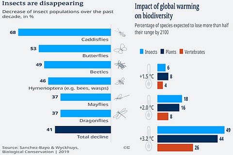 STRIKING A BALANCE: Virus sheds light on need for biodiversity