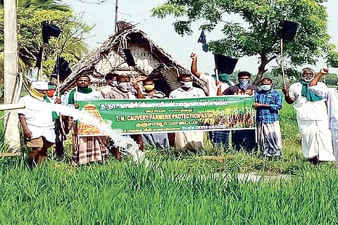 Protect free power supply, demands Delta farmers showing black flags