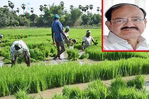 M Venkaiah Naidu, Vice President of India
