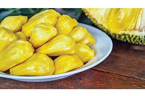 Unique Jackfruit recipes to try at home