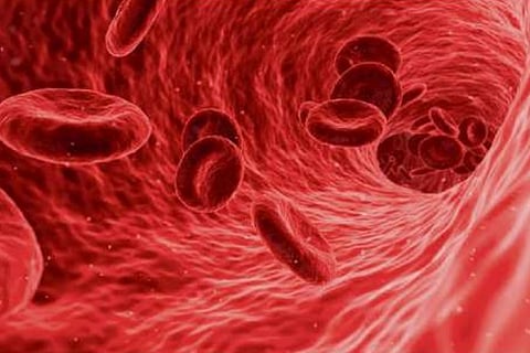 Covid virus may block formation of key red blood cells