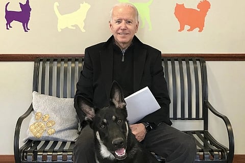 POTUS-elect Biden to bring ‘DOTUS - Dogs of the United States’, to White House