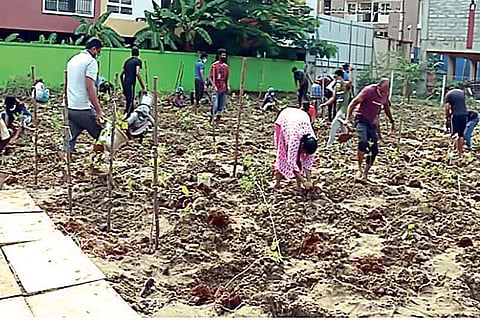 Work in progress at Miyawaki forest in Sholinganallur