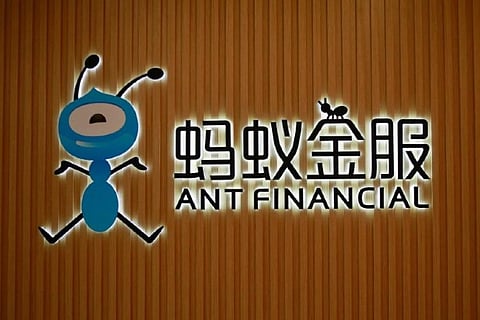 Xi Jinping personally decided to halt Ant’s USD 37-billion IPO, claim officials
