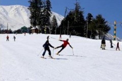 At minus 7 degrees, Gulmarg's ski slopes beckon winter sports lovers